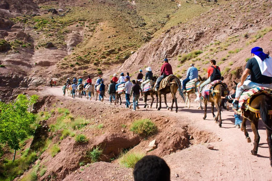 High Atlas trek scene on a guided Toubkal route, Morocco