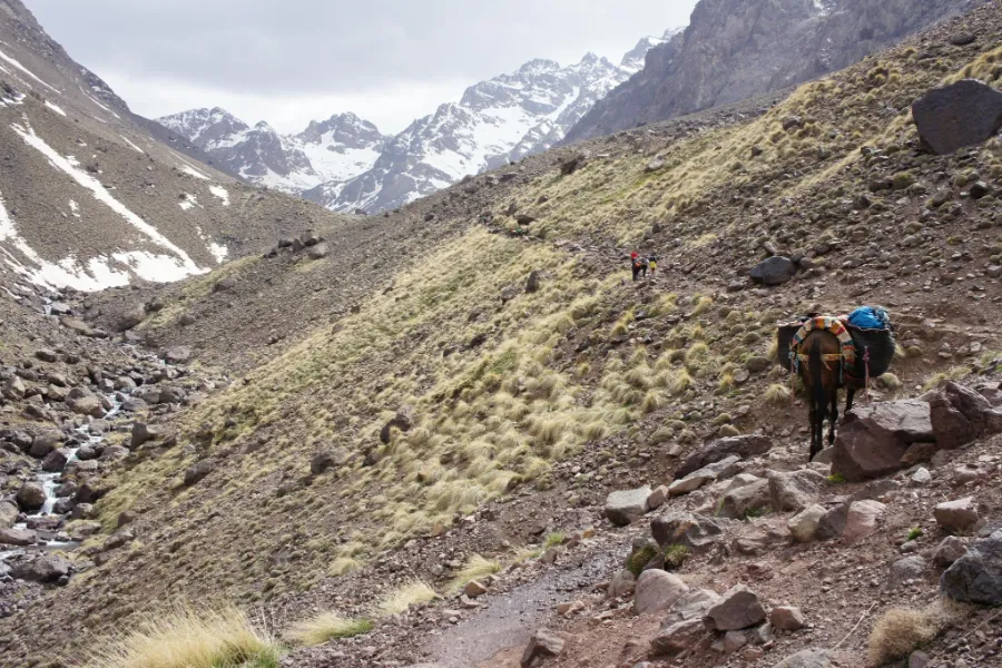 High Atlas trek scene on a guided Toubkal route, Morocco