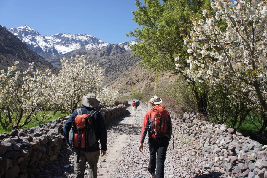 High Atlas trek scene on a guided Toubkal route, Morocco